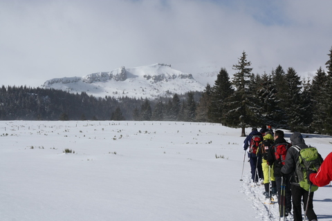 Cantal 2015